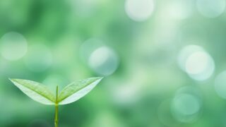 EDINET-Benchとは?日本の有価証券報告書で「LLMの金融力」を測る新ベンチマーク